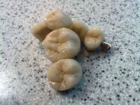 25082010423.jpg